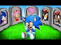 R.I.P All - Baby Sonic Say Goodbye! - Very Sad Story - Sonic the Hedgehog 2 Animation | Crew Paz