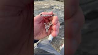 Arwen’s Evenstar necklace shouldn’t be gifted in vain… #lotr #lordoftherings