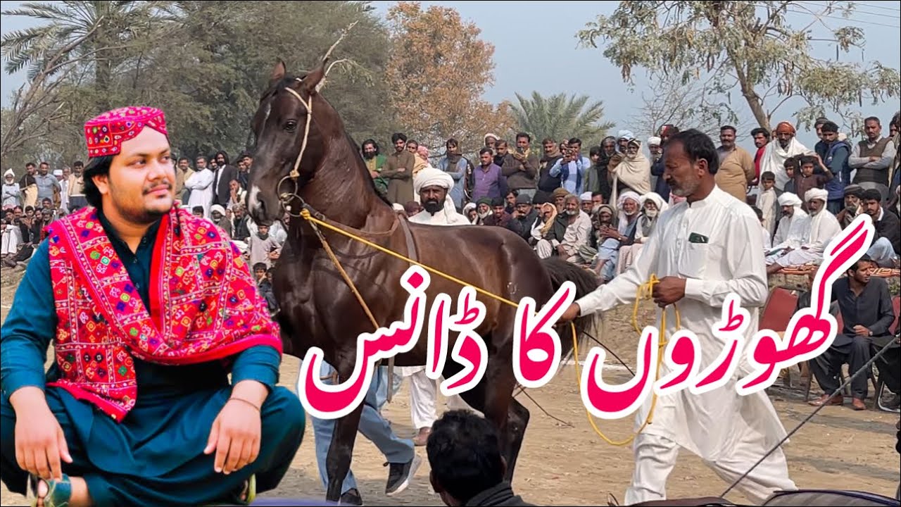 گھوڑوں کا ڈانس