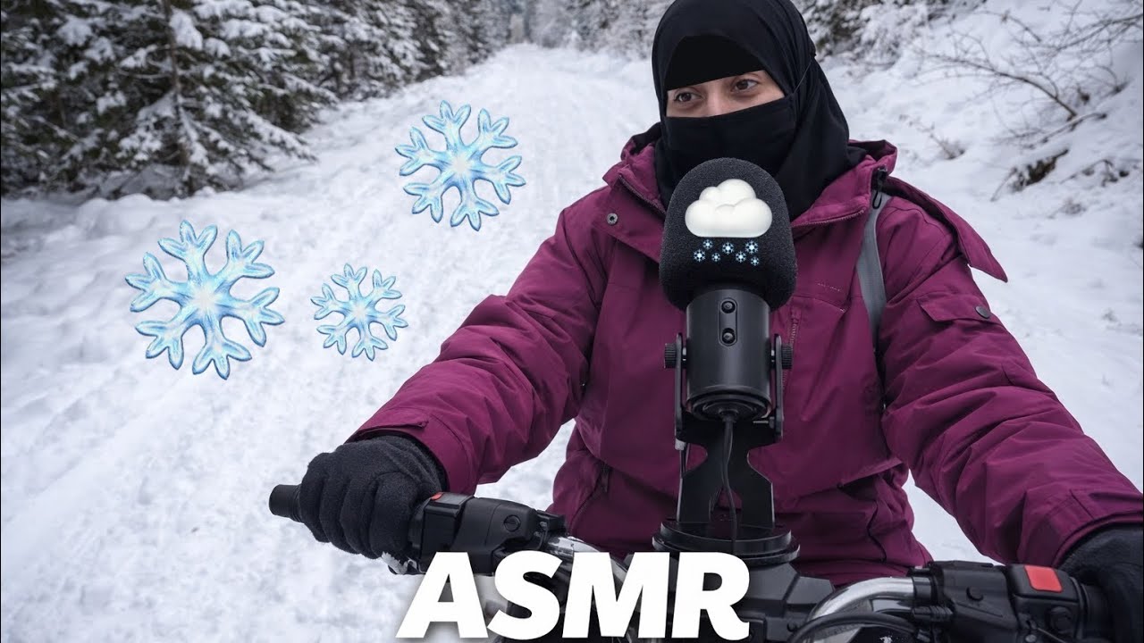 تجربة استثنائية 🎙️❄️ اصوات الدباب الثلجي يمشي على الجبال وسط الغابة الثلجية أصوات استرخاء لنوم حماس