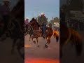 Jinete pateado por su caballo 😳