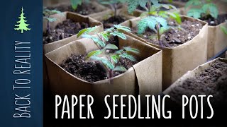 Square Paper Seedling Pots  Quick, Easy, and Biodegradable