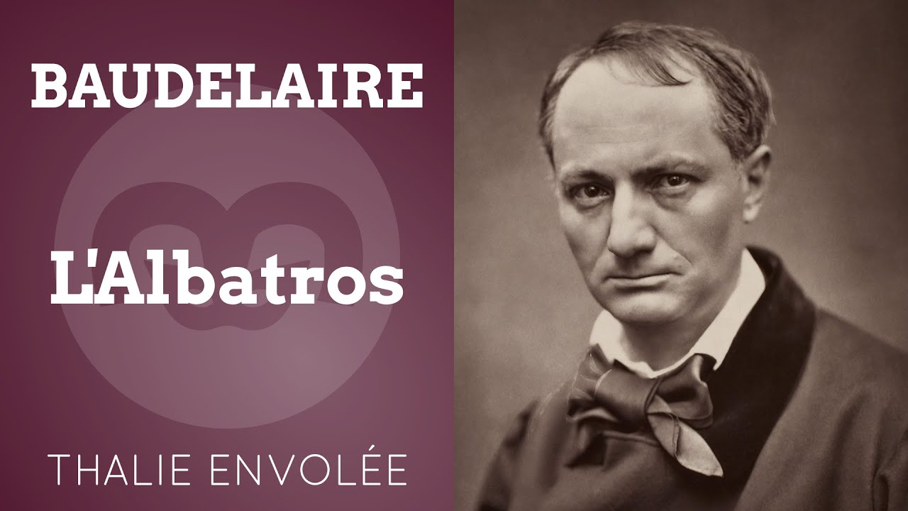 L'Albatros - Charles Baudelaire - Thalie Envolée (HD) - YouTube