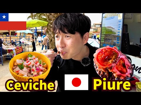 JAPONÉS prueba CEVICHE en EL QUISCO por primera vez