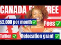 How to move to Canada for free in 2024 | Applications are currently ongoing (McCall MacBain Program)