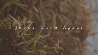 Selena Gomez, ZAYN - Never Love Again (Official Video)