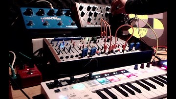 Buchla Easel Command and Moog DFAM