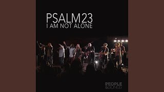 Psalm 23 (I Am Not Alone) chords