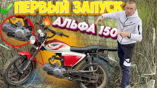 АЛЬФА С МОТОРОМ 150СС от питбайка ! ЧТО С НЕЙ ? запуск после простоя 1 год!