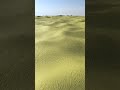 DESERT