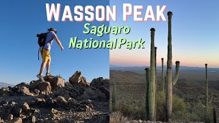 Wasson Peak Hike  Saguaro National Park | Tucson, Arizona