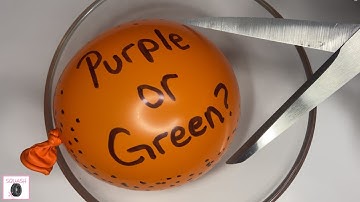 BALLOON POPPING- Guess The Color Inside Challenge! | Squash X | #slime #guessthecolor #asmr