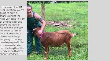 Intramuscular Injection: Sheep, Goats, Alpacas and Llamas