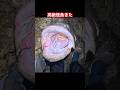 高級怪魚釣れた #fishing #釣り #shorts