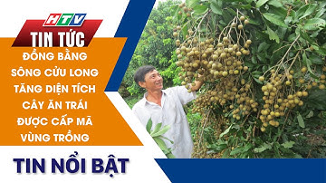 ĐỒNG BẰNG SÔNG CỬU LONG TĂNG DIỆN TÍCH CÂY ĂN TRÁI ĐƯỢC CẤP MÃ VÙNG TRỒNG | HTV Tin Tức