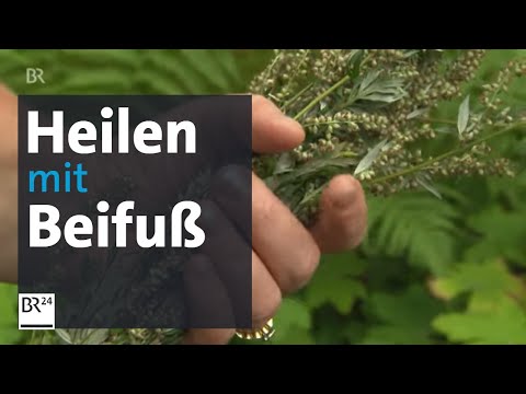 Video: Was pflanzt man mit Johanniskraut?