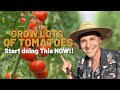 This will revolutionize the way you grow tomatoes