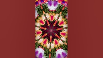 Flower Animation ￼🌸using only HTML CSS |  #coding #viral #trending #design #911 #css #cod