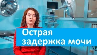 Острая задержка мочи у кота. Ветеринарная клиника Свой Доктор об острой задержке мочи у кота(Запишитесь на прием ветеринарного врача-нефролога http://www.svoydoctor.ru/priem.html узнайте, что делать если у вашей..., 2015-09-27T17:53:21.000Z)