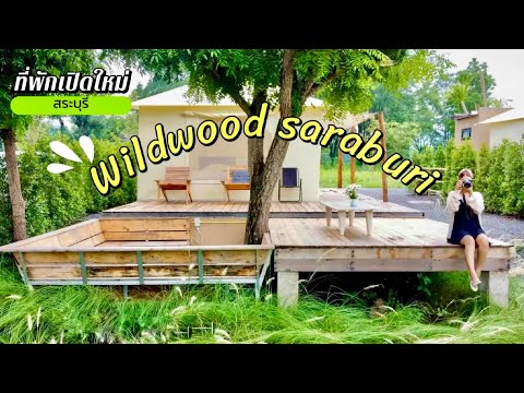 🌳ที่พักเปิดใหม่ 🌧️สระบุรี ⛺️Wildwood saraburi แวะถ่ายรูปกับแพะ  #สระบุรี #จุดกางเต็นท์ #แก่งคอย