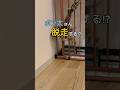 ポン太の脱☆走☆王