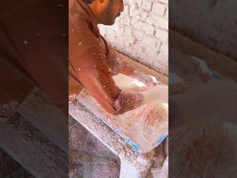 How to make a stylish plate for ceiling using plastic from Paris #viral #shorts #youtubeshorts #diy