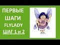 FlyLady Первые шаги в системе Шаг 1 и 2) Флайледи (Ирина Соковых)