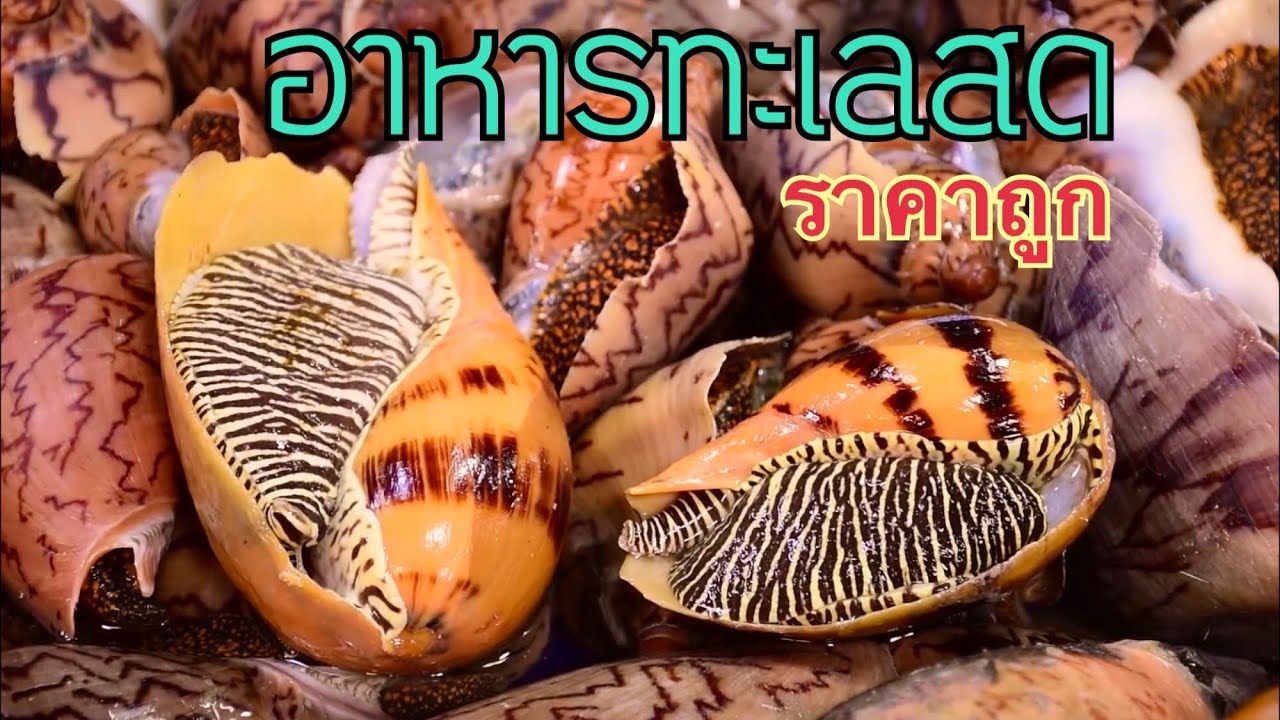 อาหารทะเลสดราคาถูก ตลาดลานโพธิ์นาเกลือพัทยา | ข้อมูลทั้งหมดเกี่ยวกับตลาด อาหาร ทะเล พัทยาที่สมบูรณ์ที่สุด