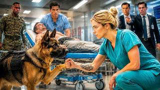 K9 Blocked Every Agent—Until a Trauma Nurse's Tattoo Revealed Her Hidden Military Bond