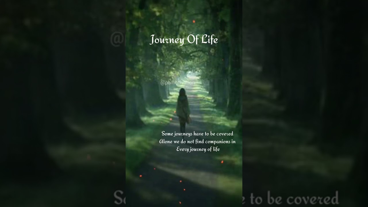 Journey of life | English best motivational status |Inspirational  #Shorts #motivation #pbmotivation