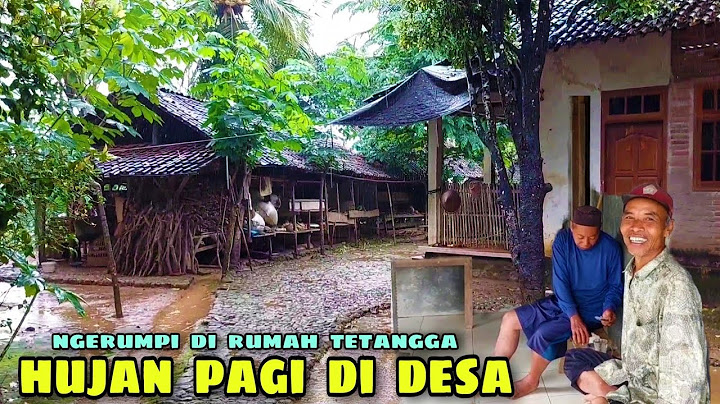 suasana hujan pagi di kampung // sejuk asri bikin betah berlama duduk disini