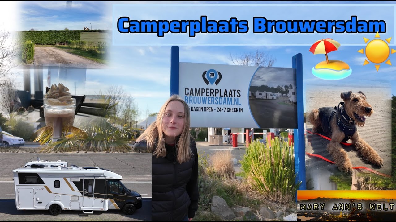 Stellplatz Camperplaats Brouwersdam : Die perfekte Lage!!!