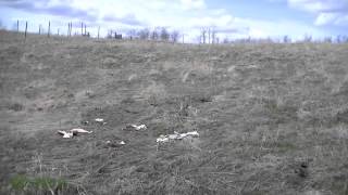 Intro To The Gully Project.mts