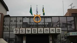 청도 유천문화마을