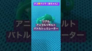タコvsクジラ〔赤ちゃん〕！リアルアニマルリボルトバトルシュミレーター！ #shorts　#対戦　#さかな