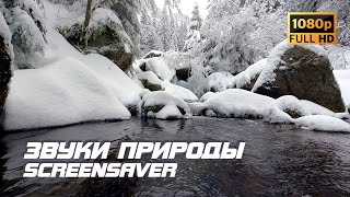 Живая природа - Река | Ручей | Звуки природы | Звук реки | Шум воды | Релакс | Антистресс | Заставка