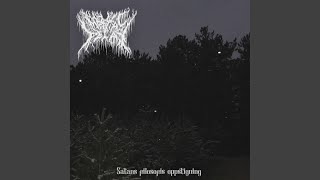Misantropy (Original Mix)