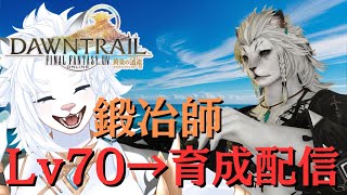 【FF14】朝活！鍛冶師Lv70→AF装備ほしい！🦁【ライオVT】