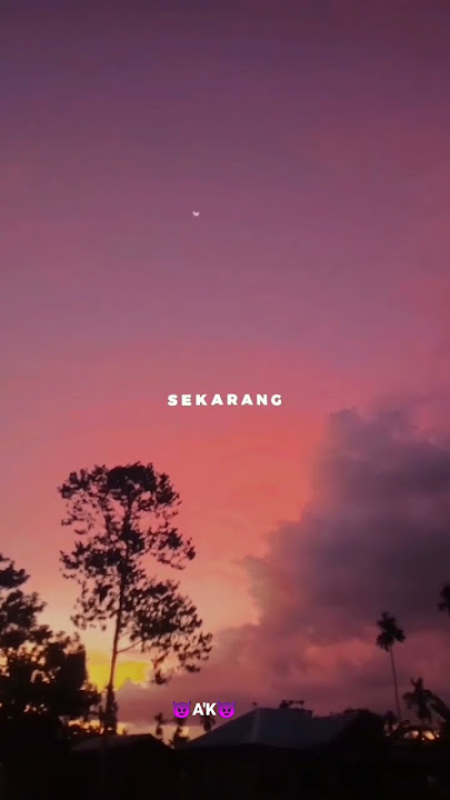 Ya Sudah Terserah ( Omcon) Story WA terbaru 2023