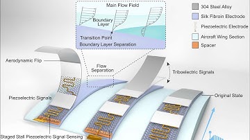 DATSS wind tunnel test and 3D FSI simulation