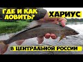 Ловля ХАРИУСА и окуня на спиннинг! Бешеный клев окуня! Удачная рыбалка летом на вертушки!