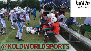 NEW ORLEANS DOLPHINS 9u vs MAITRE DOLPHINS 9u