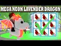 Jaurais du accepter ce trade  mega neon lavender dragon