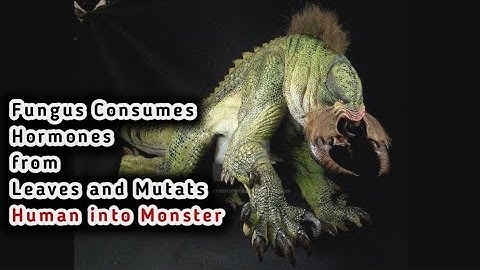 The Relic (1997) Movie Explained in English | Recapped In English @MrBrainJunkie