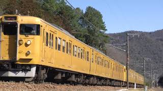 1311M　115系普通(2016-03-12)