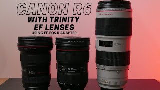 Canon R6 Adapted EF Trinity Lenses Autofocus Test with EF-EOS R Mount Adapter - EF ADAPTED TO RF