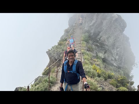 #1 hike in