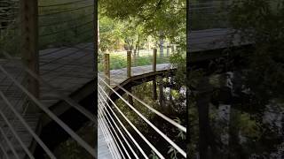 Nature sounds…🍃 #naturesounds