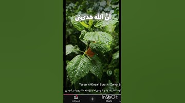 سورة الزمر#اكسبلور #القزابري #لايك