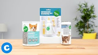 GNC Pets Kitten Nutrition